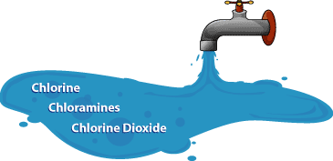 Chlorine, Chloramines, & Chlorine Dioxide are disinfectants.